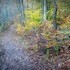 Hawk Falls Trail in Hickory Run State Park